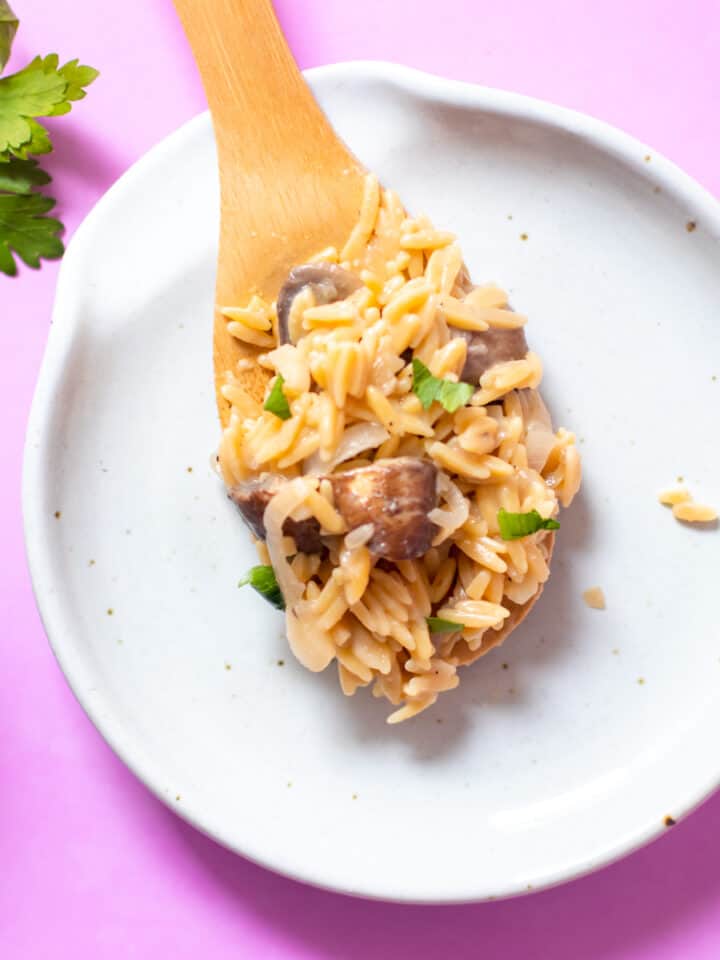 gluten free orzo on spoon close up