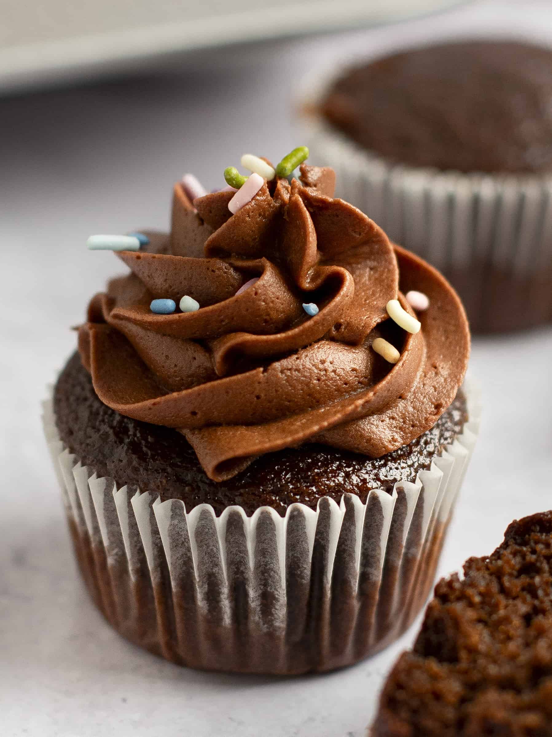 chocolate cupcake with chocolate frosting and sprinkles